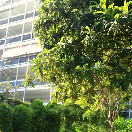 Climatise A Les Pins Dans Avec Piscine Lejlighed *