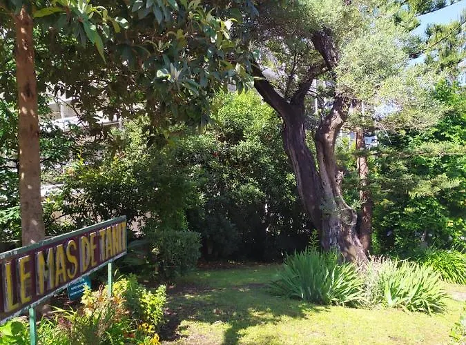 Lejlighed Climatise A Les Pins Dans Avec Piscine Juan-les-Pins