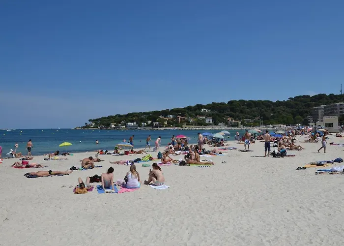 Climatise A Les Pins Dans Avec Piscine * 胡安莱潘
