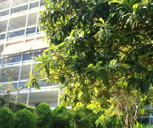 Climatise A Les Pins Dans Avec Piscine Апартаменты *